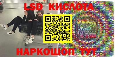 шишки Тверь