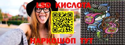 шишки Тверь