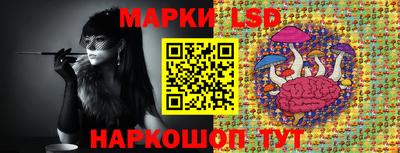 шишки Тверь