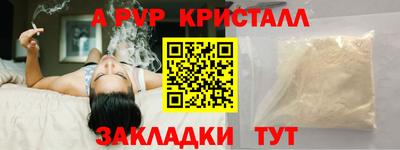 шишки Тверь