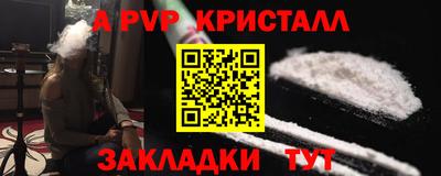 шишки Тверь