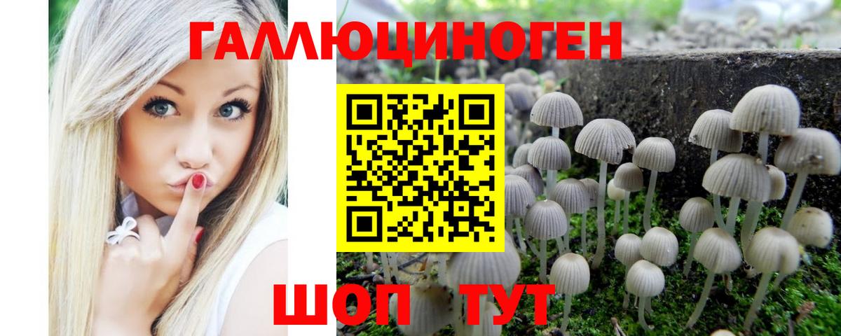 Псилоцибиновые грибы Magic Shrooms Нурлат